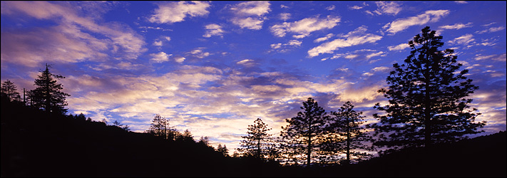 Late Afternoon Sky in Yosemite National Park, CA